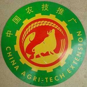 深耕田野，科技興農——記靈山縣沙坪鎮農業技術推廣站服務隊