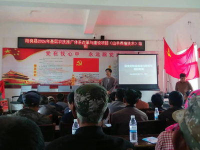 激發基層活力 陸良縣2024年農技推廣體系改革與建設項目培訓在龍海鄉拉開帷幕